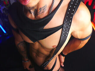 Matius Stewart's Live Cam